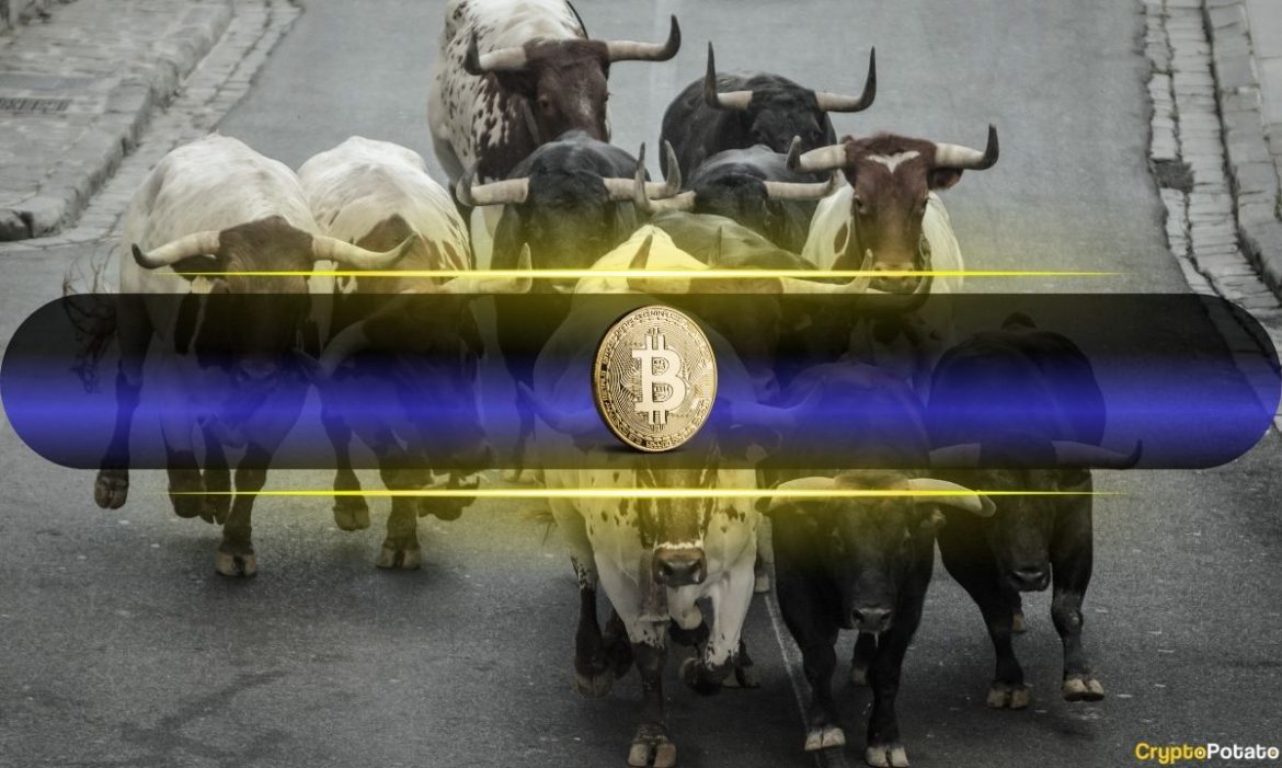 Analysts Confident Bull Market Will Continue Despite Extreme Fear