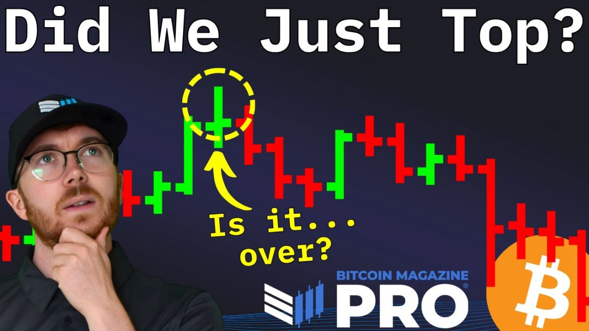 Bitcoin Price Crash Sparks Debate Over Bull Market Fate