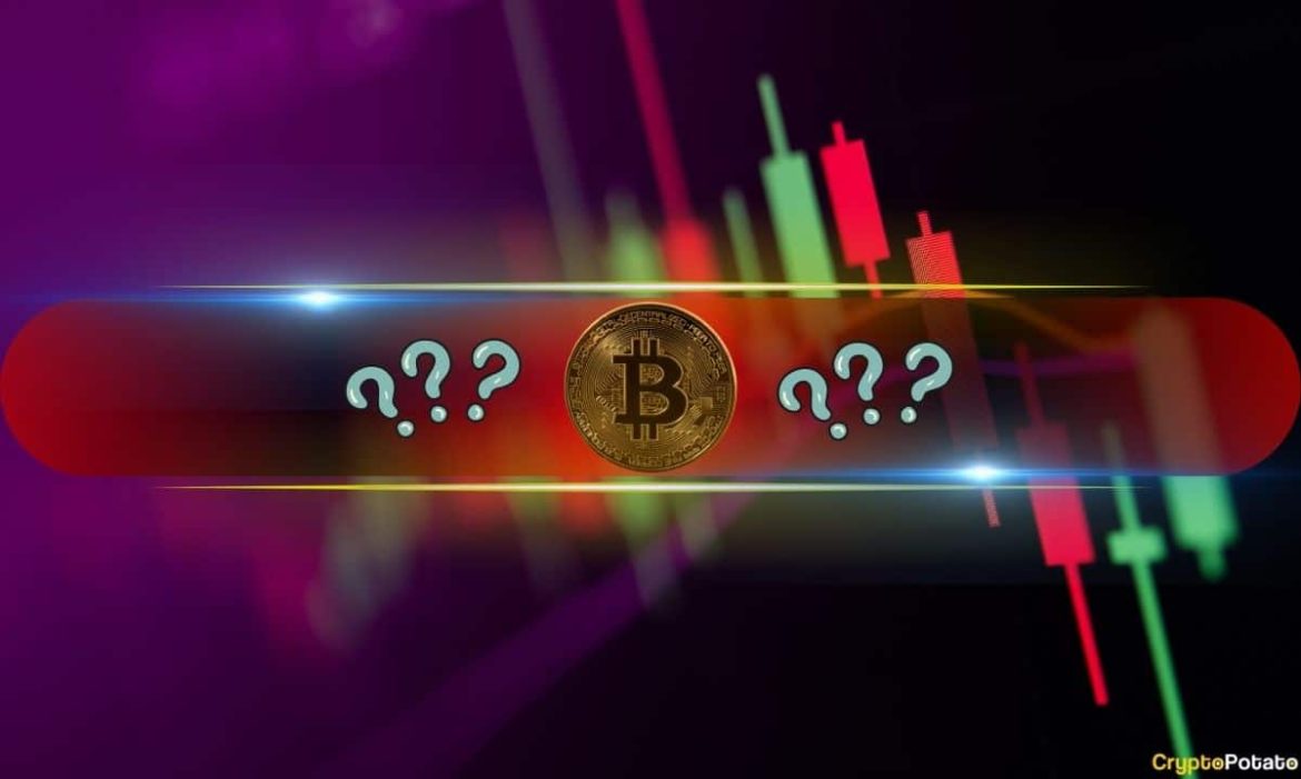 This Week's Biggest Losers Revealed as Bitcoin Slides to $106K: Weekend Watch