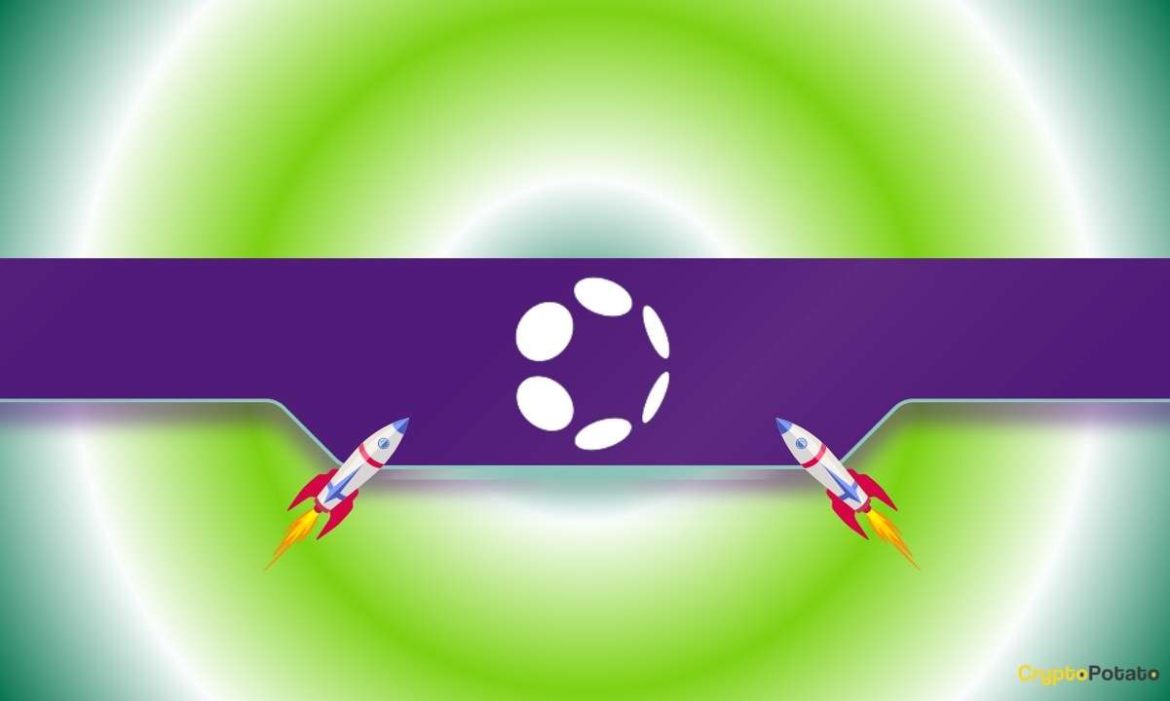 What Drives the Rally and What's Next?