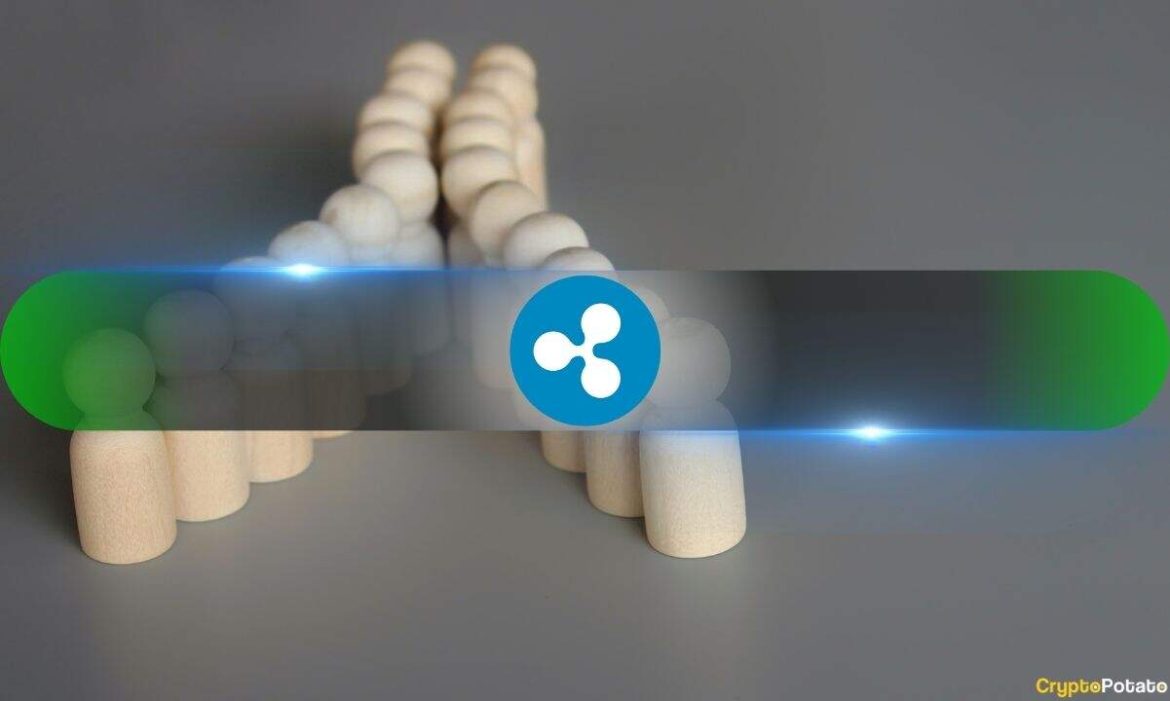 XRP Holders Realize Major Losses as Price Decline Triggers Panic Selling