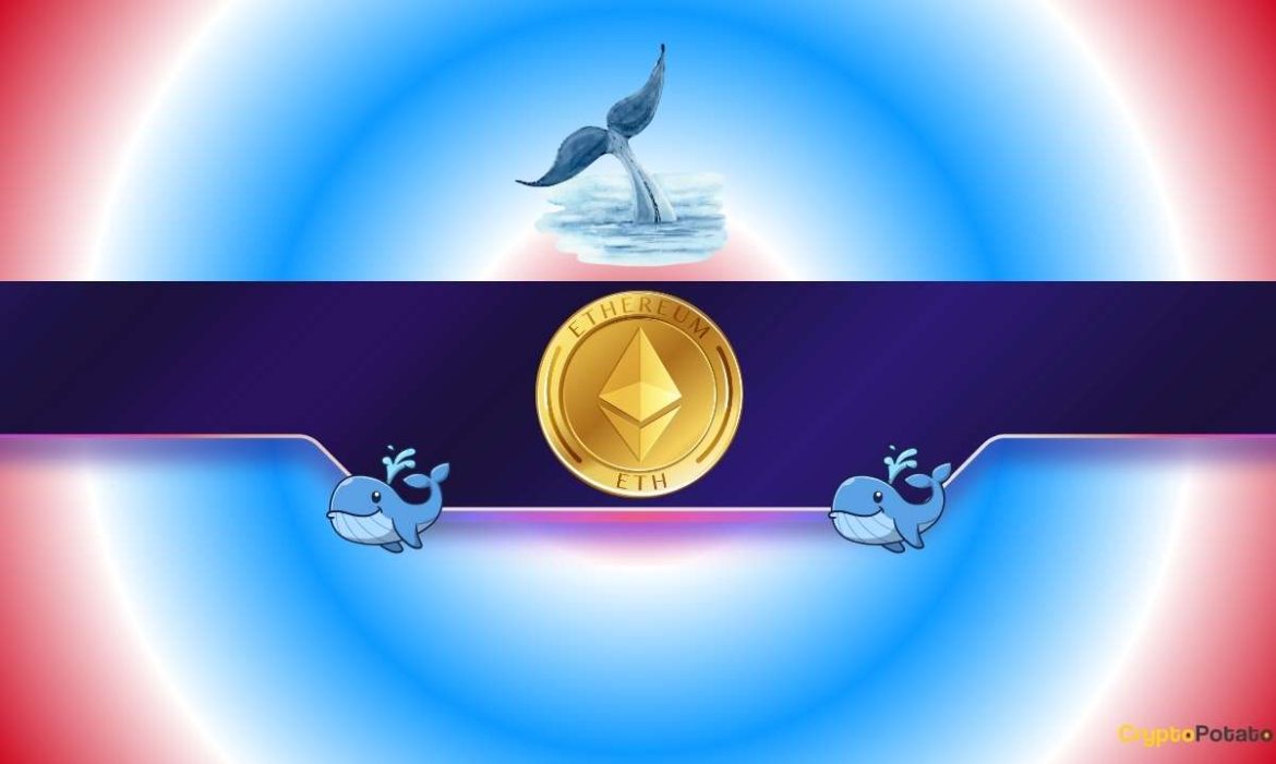 SharpLink Resumes ETH Buying After 8-Month Hiatus but OG Whales Capitulate