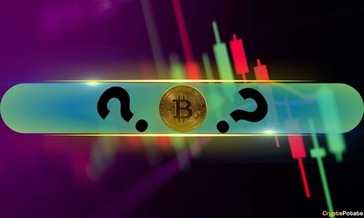 3 Altcoins Post Double-Digit Gains as Bitcoin (BTC) Reclaims $65K: Market Watch